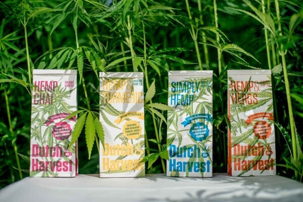 Hemp Chai - Tè Chai di Canapa 50 gram - Dutch Harvest tè sfuso