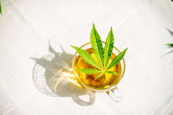 Hemp Chai - Tè Chai di Canapa 50 gram - Dutch Harvest tè sfuso