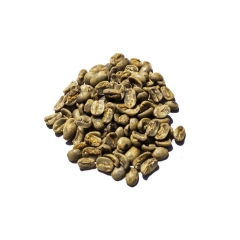 Guatemala Arabica SHB - chicchi di caffè crudi - 1 kg