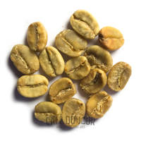 Chicchi di caffè nella fase di asciugatura