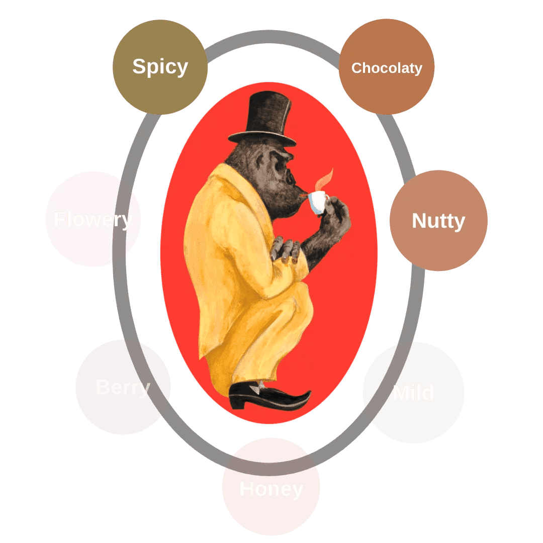 Sapori di Gorilla Bar Crema Silber - chicchi di caffè - 1 chilo